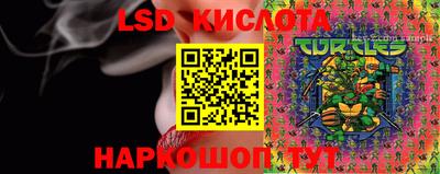 шишки Ставрополь