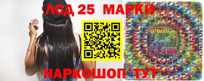 шишки Ставрополь