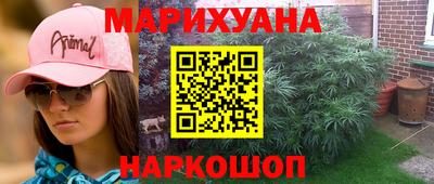 шишки Ставрополь