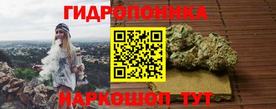 шишки Ставрополь
