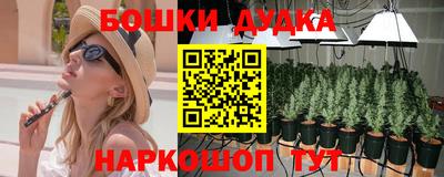 шишки Ставрополь