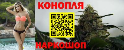 шишки Ставрополь