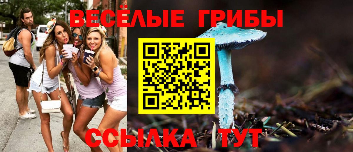 Галлюциногенные грибы MAGIC MUSHROOMS Ахтубинск